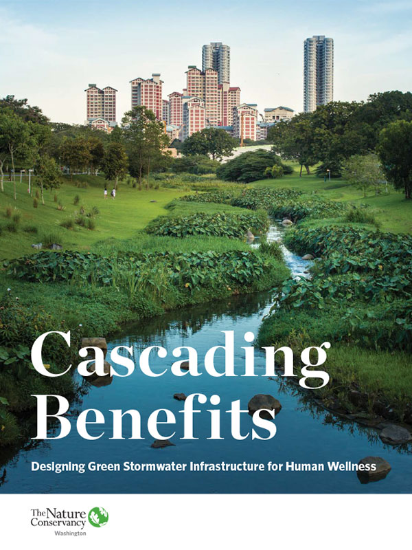 Cascading Benefits: Designing Green Stormwater Infrastructure for Human Wellness - cover image