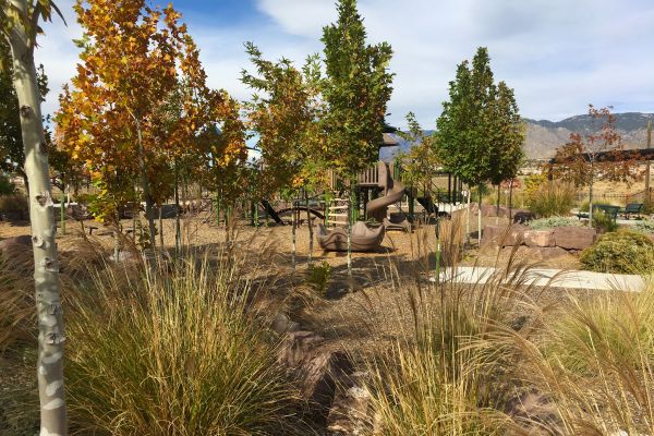 Vibrant plants and trees with fall foliage border a playground. The playground colors are muted in shades of green and browns.