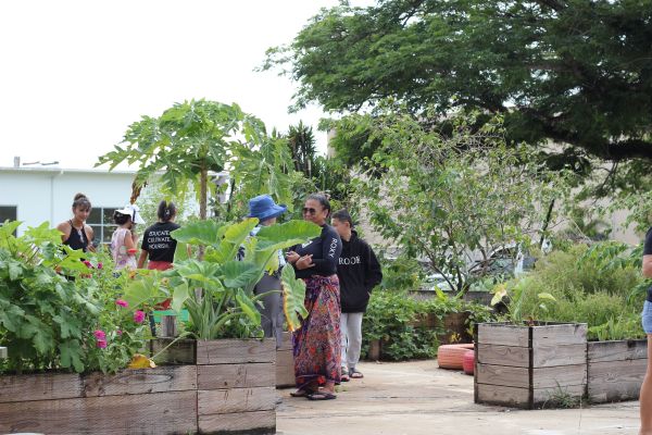 Six people stand around the vegetable beds in the garden. In the background, there is a low building as well as a large fully leafed out tree overhanging the plants that provides shade.