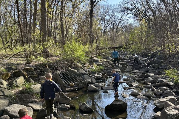 Three children explore a creek, standing on rocks above the low water. They are working on balance, coordination, and building self-confidence in nature. In the background, trees are beginning to leaf out in front of a bright blue sky, and an adult explores further up the creek. 