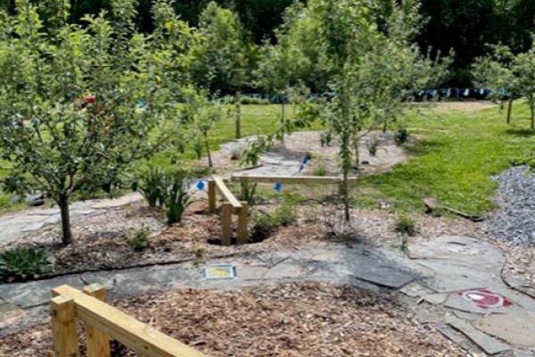 Low wooden balance beam structures for children are scattered throughout a grove of fledgling trees. Full-grown trees stand tall in the back of the grove.