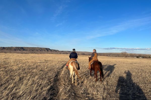 Two people riding horseback on a grassy plain under an open blue sky. They ride towards the horizon where low hills can be seen in the distance.