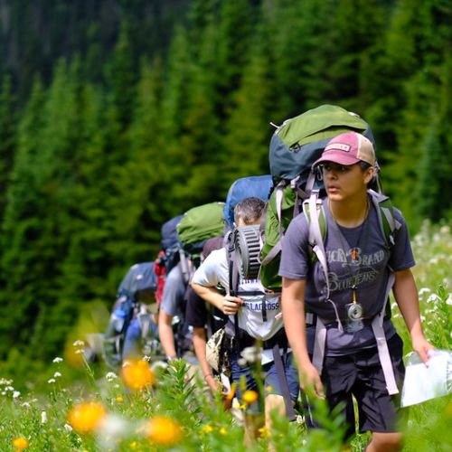 A group of youth participants diligently march in a line with their backpacking gear along a sunny mountain trail, which is dense with green foliage and speckled with yellow and white wildflowers.Towering deep green pine trees fill the horizon behind the participants.