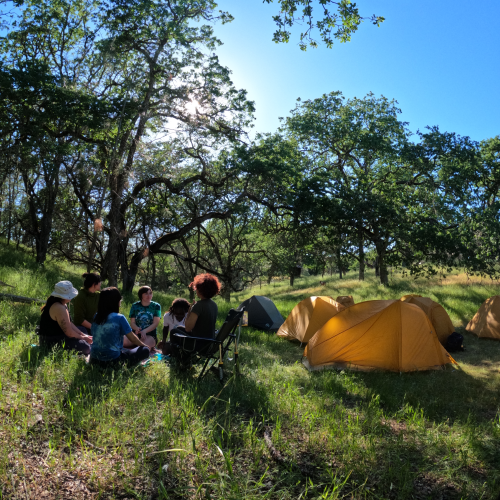 Under a clear blue and sunny sky, youth participants sit together beside their yellow tents on a small, grassy hill in a backcountry campsite in California. As they converse with each other, trees tower around them and shade their campsite.