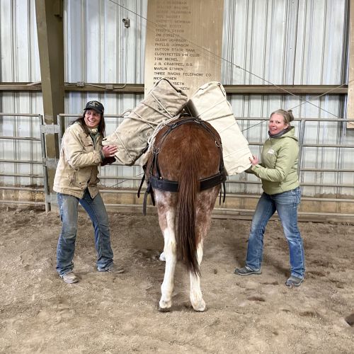 Two participants involved in the women's packing clinic learn how to pack a mule. Unfazed from the heavy loads that they are lifting onto the mule, they show off determined smiles to the camera. The loads themselves are half the sizes of the two women.