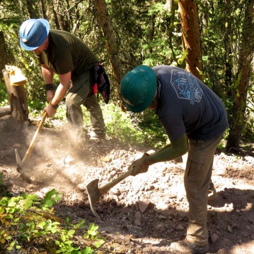 Two volunteers work to reestablish a disappearing trail in the wilderness. While wearing safety helmets, they pierce the dirt ground with handheld tools, which causes dust to stir around them. The surrounding scenery is a forest, with dense trees and undergrowth nearby the trail they are on.