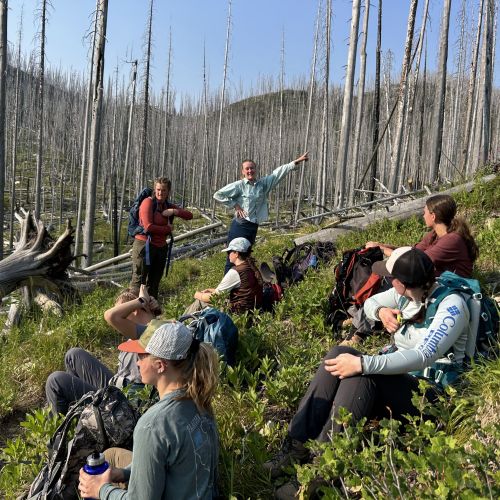 On a clear, sunny day, a group of volunteers work to clear logs off a trail to make the path accessible. Two of the volunteers are providing direction on which trees to clear next, while the remainder of the group sit and listen attentively. Surrounding them is a sea of thin, barren trees, some of which have been already cleared.