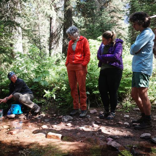 Community science volunteers learn how to take critical water samples as part of their five days in the backcountry. Behind everyone is a thick sea of green undergrowth, lit up by rays of sunlight peeking through the trees. One of the hikers is instructing the others while he sits.