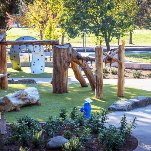 The CHAMPS log play zone consists of various pieces of rustic wooden climbing equipment, including monkey bars with handles and a climbing wall, surrounded by shrubbery and trees.