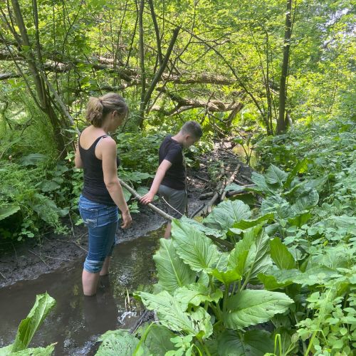 Comfort zone. A therapist and child are exploring a lush forest, wading through a shallow stream. They are wearing casual summer clothes as they navigate the green, leafy vegetation. Together they hold a stick as they move through the water.