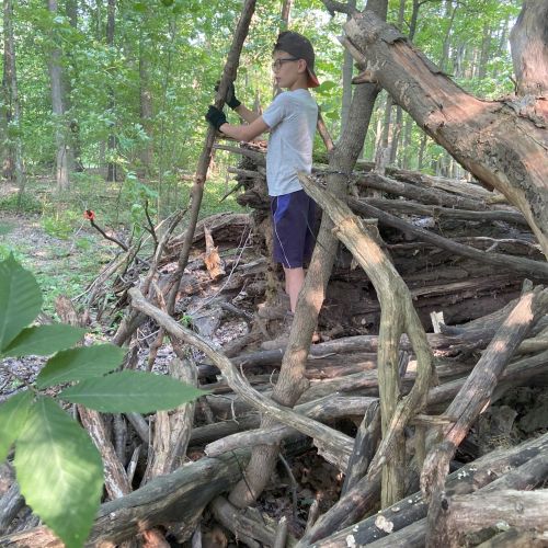 Building a fort. A boy, wearing a gray shirt, blue shorts, and black gloves is standing in a wooded area, working on a structure made of large, interwoven branches. The ground is covered with leaves and the background is lush with green trees.