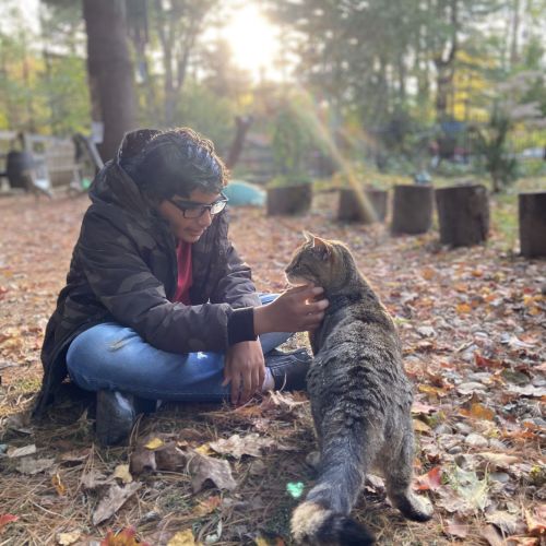 Holding a gaze: Animal assisted social skill development. A teenager in a dark jacket and blue jeans kneels on the forest floor, smiling and petting a tabby cat. He is surrounded by fallen autumn leaves as sunlight gently filters through the trees in the background.