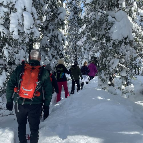 In snow-appropriate clothing and gear, The Adventure Group walks single file through a narrow trench in the snow, surrounded by snow-covered conifers. There is a patch of blue sky overhead.