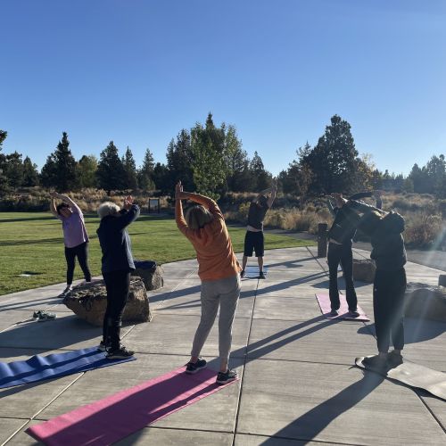 Seven people stand at the end of their yoga mats, stretching in the sunshine on an outdoor patio that backs onto a green lawn bordered by trees and shrubs.