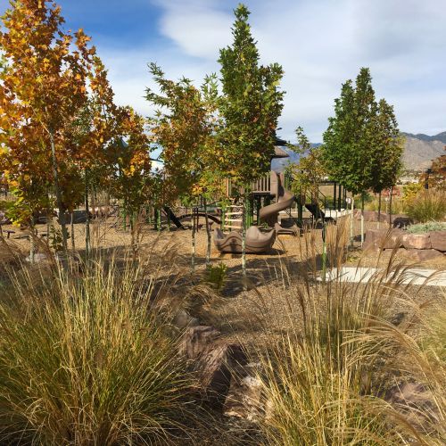 Vibrant plants and trees with fall foliage border a playground. The playground colors are muted in shades of green and browns.