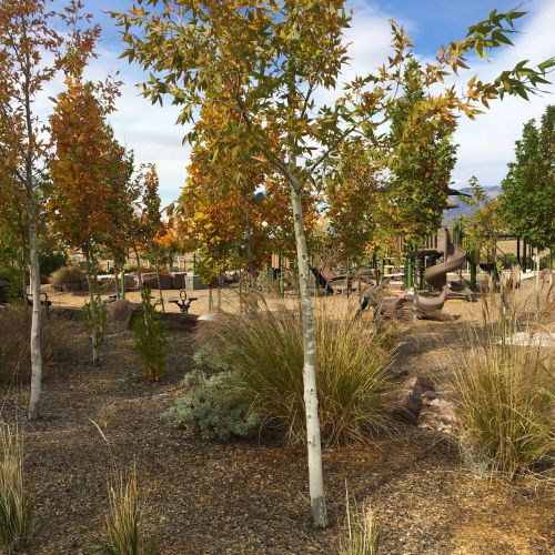 A playground is nestled in an enclave of plants and vegetation. A bench is located to the left of the playground.