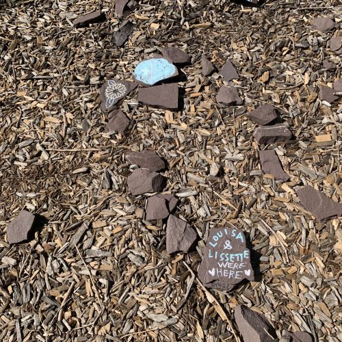 Various sizes and shapes of small rocks are decorated with visitors’ chalk drawings. 