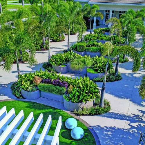 An overview of the garden from above the pergola shows a grid of foxtail palms that offer a comforting rhythm, clarity of expectations, and relief from the sun.