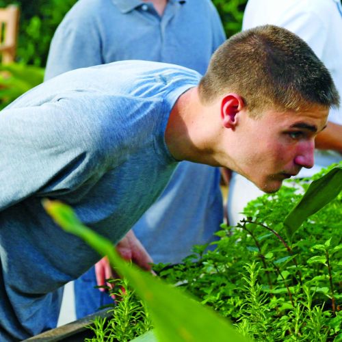 A person leans over a planting bed looking closely at some foliage. Two other people stand in the background.