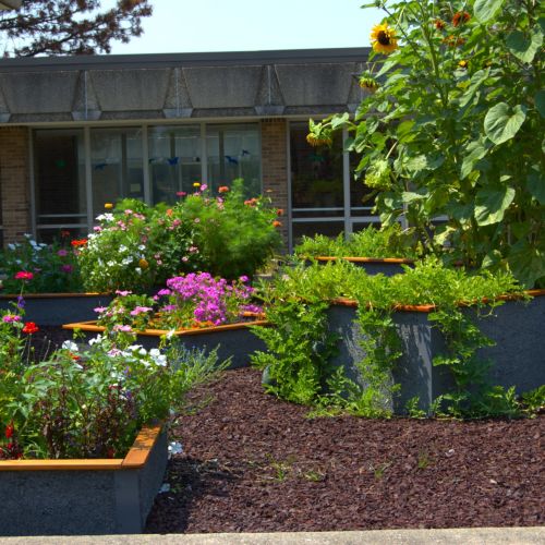 A butterfly garden is in full bloom with bright pink, red, and white native plants and wildflowers. The Garden Club has high hopes that this garden becomes a haven for pollinators for many years.