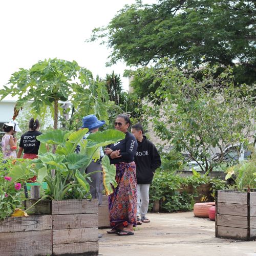 Six people stand around the vegetable beds in the garden. In the background, there is a low building as well as a large fully leafed out tree overhanging the plants that provides shade.