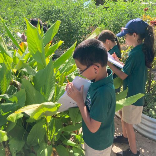 Elementary students in school uniforms of green shirts and light tan shorts take notes as they investigate and explore the plants in the garden.