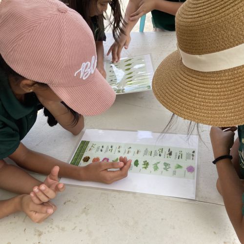 Children wearing school uniforms and sun hats lean over a table reading laminated charts of plants and their common garden pests.