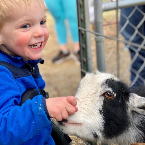 A young smiling boy with blond hair in a blue jacket, petting a black and white colored goat.