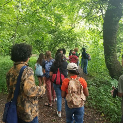 A group of participants hike along a dirt path, which is completely enshrouded by dense, bright green foliage. The canopy of leaves looming above provide the group with plentiful shade as they enjoy the verdant scenery around them.