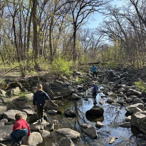 Three children explore a creek, standing on rocks above the low water. They are working on balance, coordination, and building self-confidence in nature. In the background, trees are beginning to leaf out in front of a bright blue sky, and an adult explores further up the creek. 