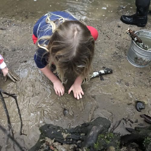 Two children crouch down on the muddy bank of a creek, getting their hands dirty with tactile, sensory play during an Outdoor Kids OT group. A bucket of water with some branches in it is beside them.