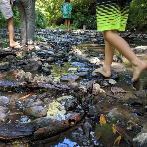 Six barefoot children stand in a creek bed on with small, wet, rounded rocks and bits of branches and logs. This experience offers lots of opportunities for multi-sensory and collaborative imaginary play.