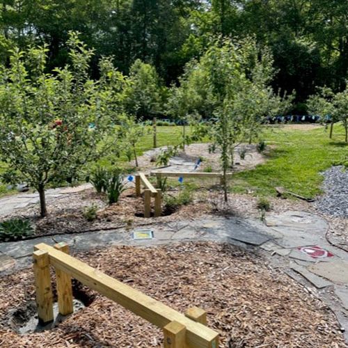 Low wooden balance beam structures for children are scattered throughout a grove of fledgling trees. Full-grown trees stand tall in the back of the grove.