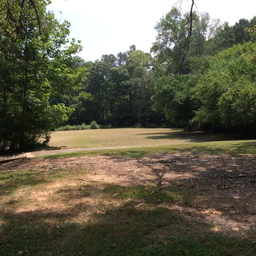 The original site as it looked before the Orchard and play area were installed. It was a large, grassy clearing bordered by tall green trees.