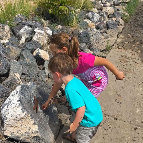 Two children discover the silhouette of a small dragonfly silhouette sculpture placed on the vertical side a rock. There are multiple animal silhouettes scattered throughout the park.