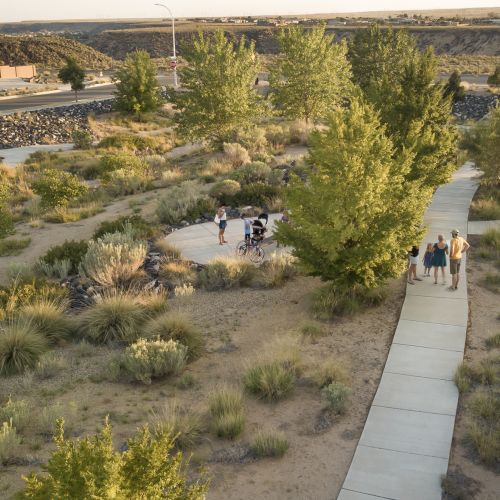 Various plants and shrubbery sprawl throughout the park and reflect the variety of ecosystems of the West Mesa.