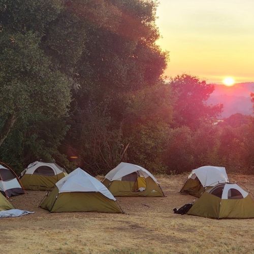 A circle of tents are set up at an at-promise-youth overnight backpacking trip at Black Mountain. Thick trees border the edge of the campsite. As the sun peeks over the mountaintop, the sky is bathed in shades of pale yellow and orange.