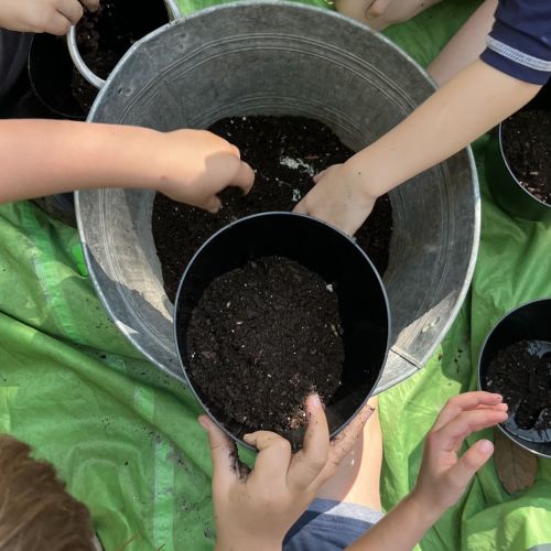 Looking down from above, four children sit around a large tin bucket of soil, from which they are collaborating and working together in filling their smaller plastic pots by hand.