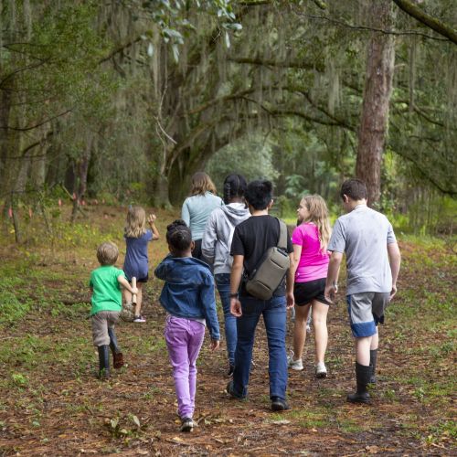 A group of nine people of various ages walks through the forest on a wide, open path, building connections and participating in movement.