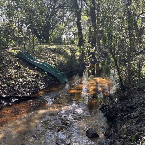 In the seasonal creek at Treeline, stepping-stones are situated at intervals bridging both banks. Further back there is a slide, which exits into the water. All of the area is surrounded by lush trees and greenery.