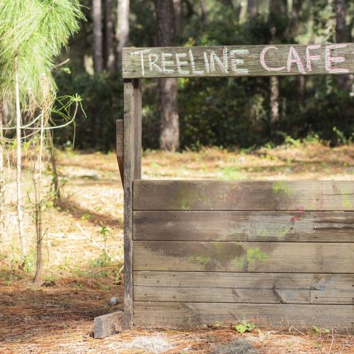 A small, simple wooden structure with the title “Treeline Café” written in colorful bold letters is situated in a forest clearing.