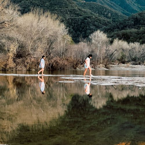 Two participants closely watch their steps as they navigate through a shallow marsh. Brown wetland plants border the marsh; in the distance are tall mountains illuminated by a faraway sun. Surrounding the two participants is a lake, with its surface reflecting this quaint scenery.