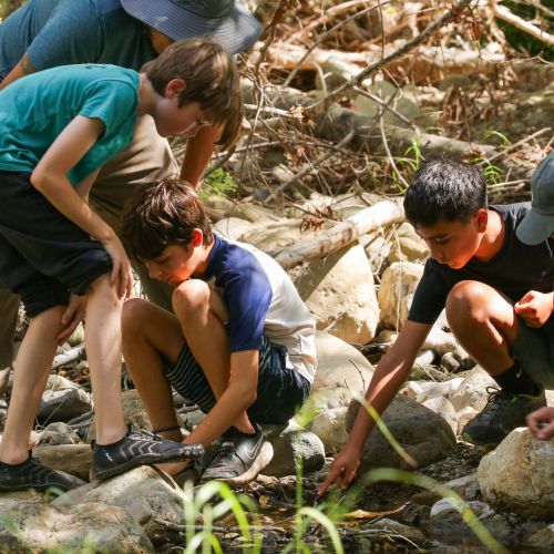 A group of kids crouch by the edge of a shaded bank, which is full of rocks and boulders. They seem to be looking for something between the many rocks that surround them; behind them are fallen branches. A program staff member kneels at the edge of the group, guiding them on where to look.