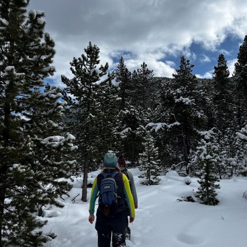 Two people walking single file are snowshoeing in thick snow among snow-laden conifers. Above them, patches of blue sky peek out behind the clouds.