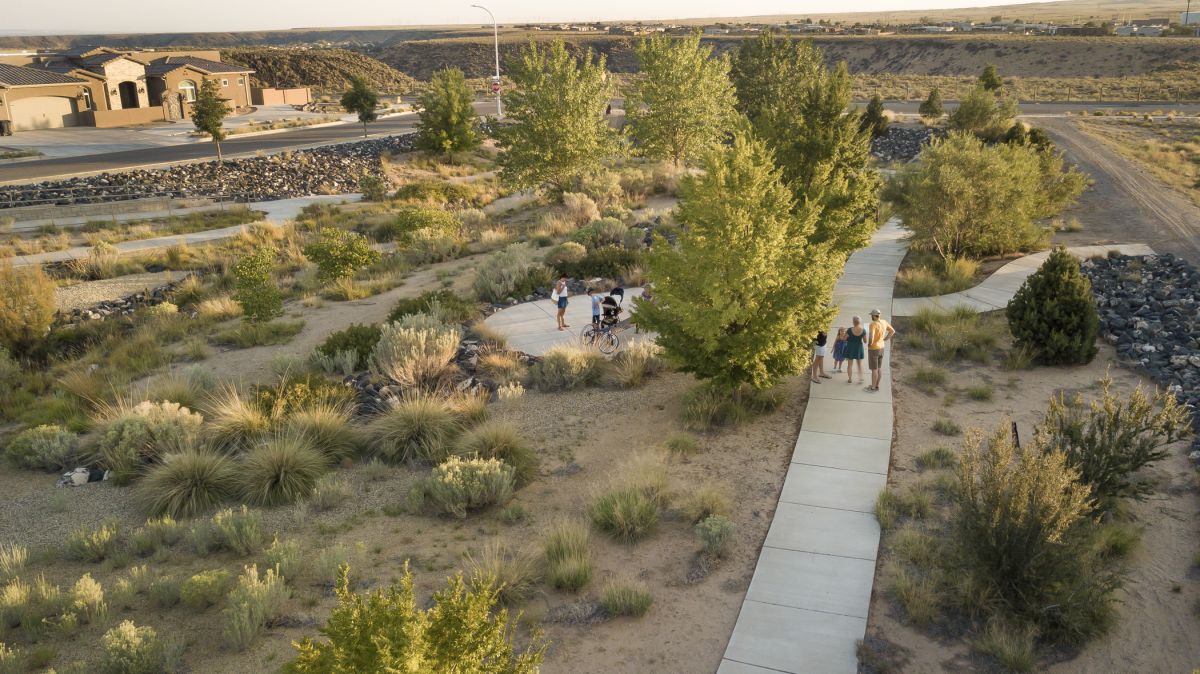 Various plants and shrubbery sprawl throughout the park and reflect the variety of ecosystems of the West Mesa.